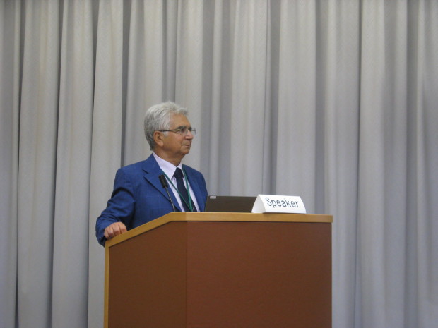 Professor Palagiano during the conference.
